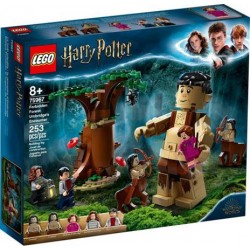 LEGO Harry Potter (75967). La foresta proibita: l'incontro con la Umbridge